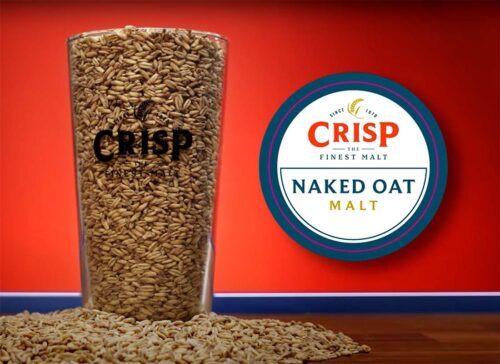 Crisp - Crushed Naked Oat Malt