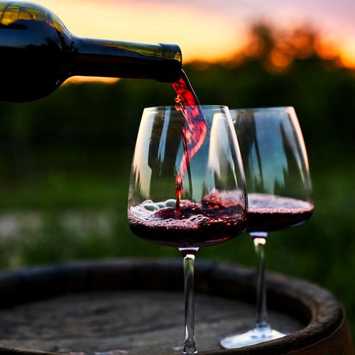 Dark Rock Red Wine Home Brew Bundle Pack - Merlot, Tempranillo & Cabernet Sauvignon