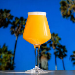 Signature Lazy Days Home Brew Beer Kit Collection